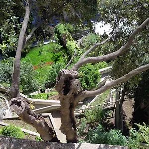 Lara *** Amalfi
